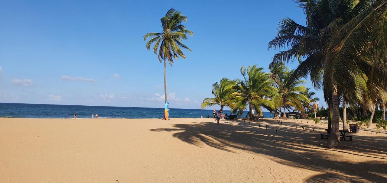 פונטה קאנה Puntacana Ecolodge Lavacama Beach Costa Arrecife By Aa Crypto Group מראה חיצוני תמונה