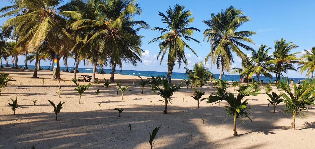 פונטה קאנה Puntacana Ecolodge Lavacama Beach Costa Arrecife By Aa Crypto Group מראה חיצוני תמונה