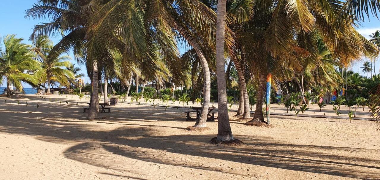 פונטה קאנה Puntacana Ecolodge Lavacama Beach Costa Arrecife By Aa Crypto Group מראה חיצוני תמונה