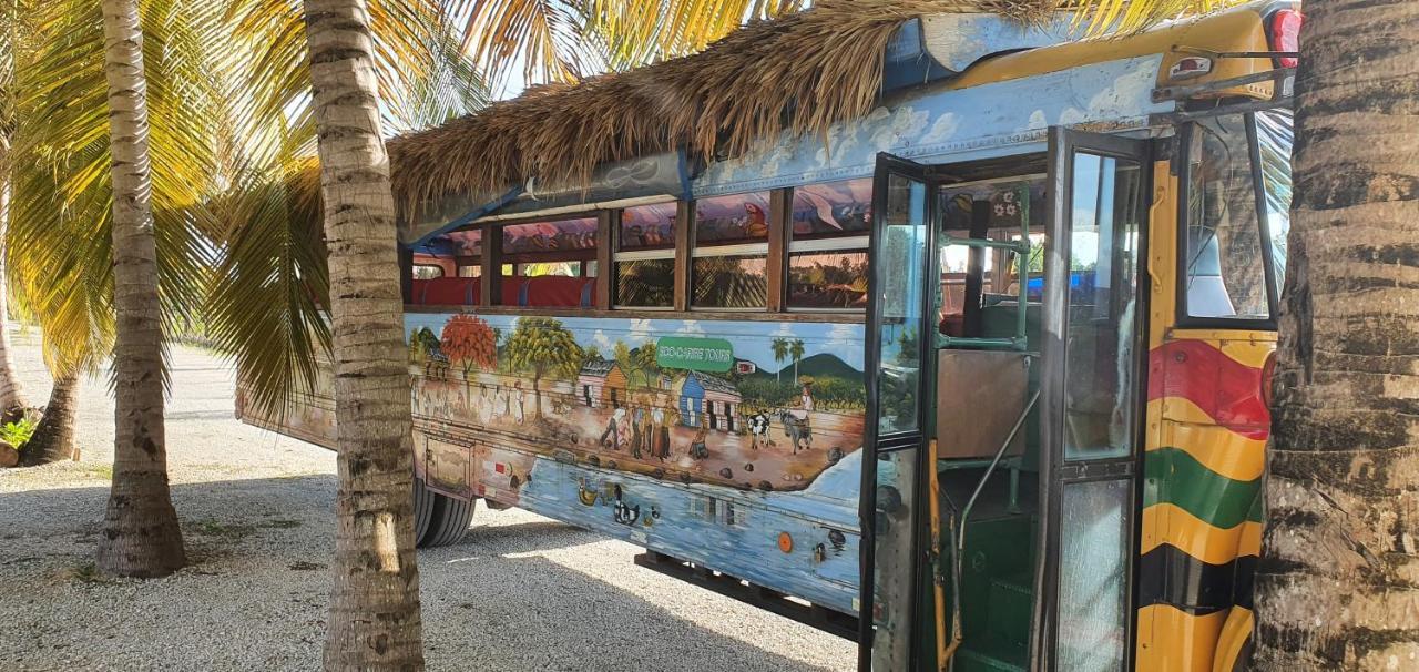 פונטה קאנה Puntacana Ecolodge Lavacama Beach Costa Arrecife By Aa Crypto Group מראה חיצוני תמונה