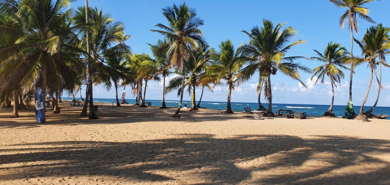 פונטה קאנה Puntacana Ecolodge Lavacama Beach Costa Arrecife By Aa Crypto Group מראה חיצוני תמונה
