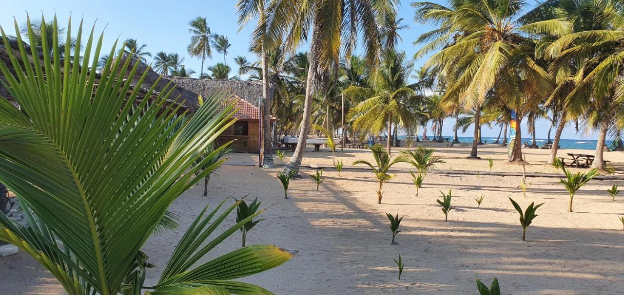 פונטה קאנה Puntacana Ecolodge Lavacama Beach Costa Arrecife By Aa Crypto Group מראה חיצוני תמונה