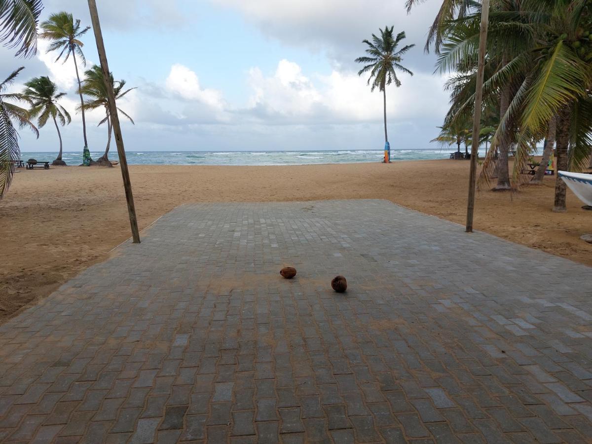 פונטה קאנה Puntacana Ecolodge Lavacama Beach Costa Arrecife By Aa Crypto Group מראה חיצוני תמונה