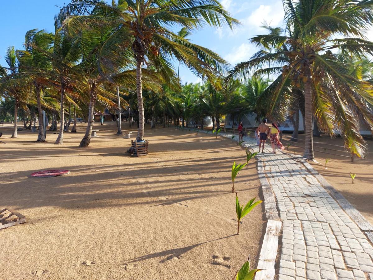 פונטה קאנה Puntacana Ecolodge Lavacama Beach Costa Arrecife By Aa Crypto Group מראה חיצוני תמונה