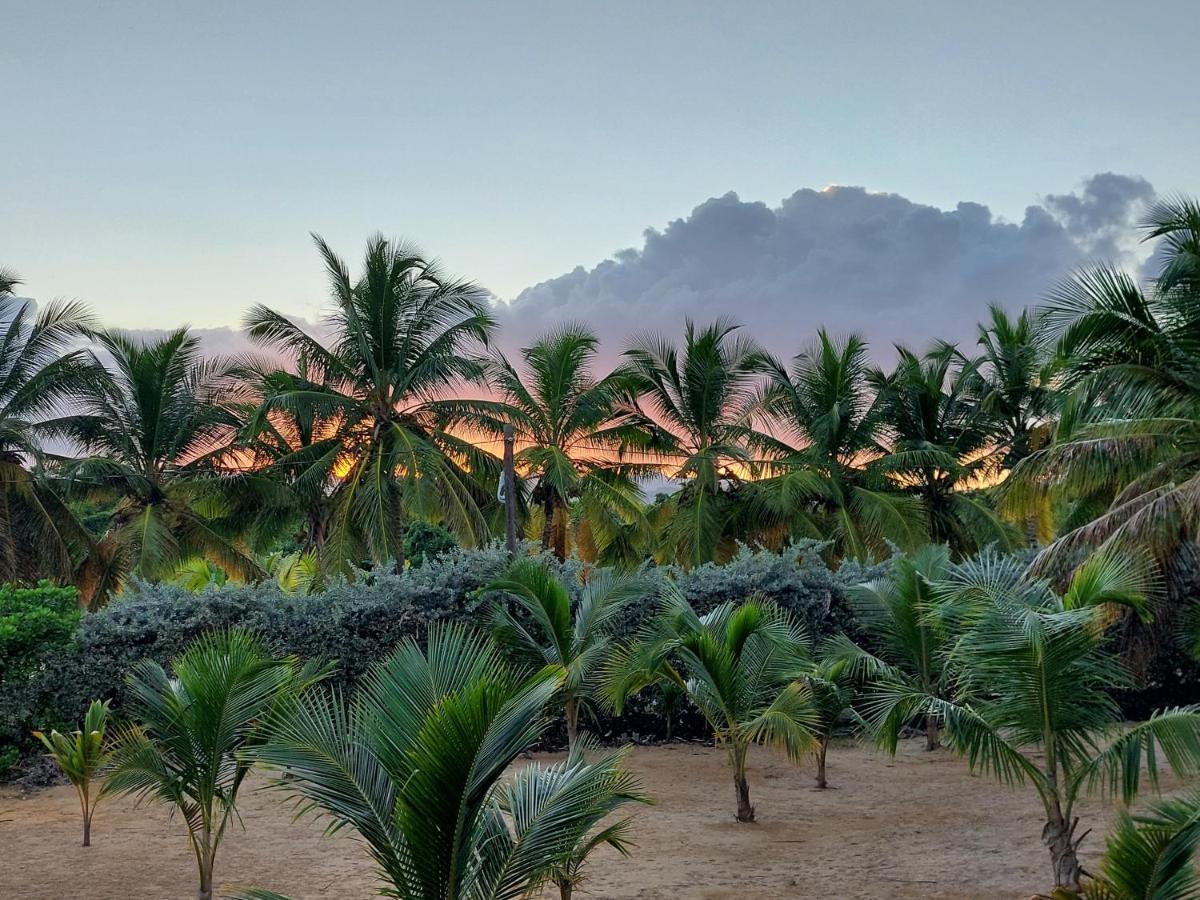 פונטה קאנה Puntacana Ecolodge Lavacama Beach Costa Arrecife By Aa Crypto Group מראה חיצוני תמונה