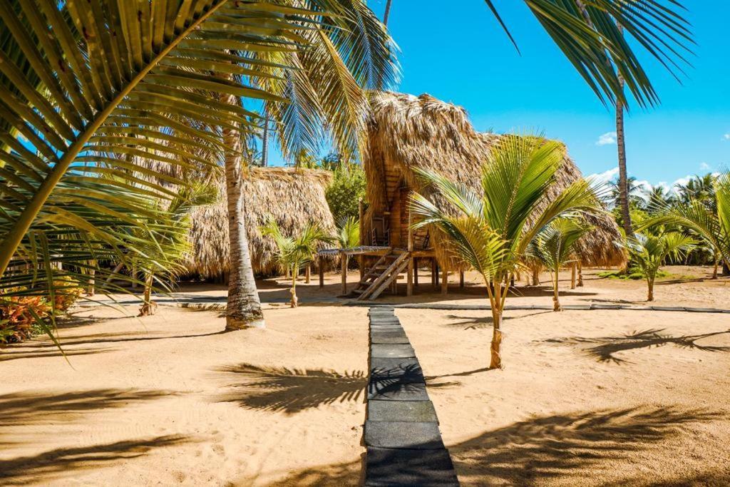 פונטה קאנה Puntacana Ecolodge Lavacama Beach Costa Arrecife By Aa Crypto Group מראה חיצוני תמונה